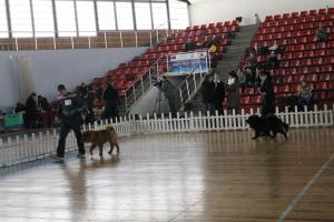 Прикачена снимка
