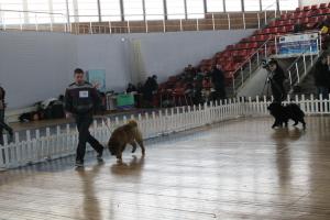 Прикачена снимка