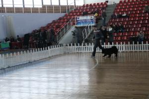 Прикачена снимка