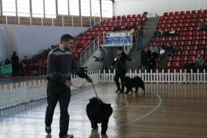 Прикачена снимка