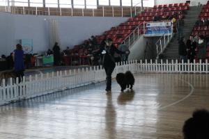 Прикачена снимка