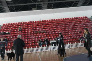 Прикачена снимка