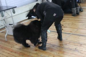 Прикачена снимка