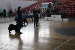 Прикачена снимка