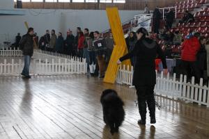 Прикачена снимка