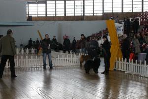 Прикачена снимка