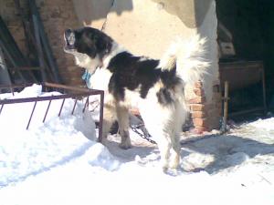 Прикачена снимка