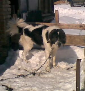 Прикачена снимка