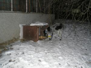 Прикачена снимка