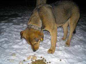 Прикачена снимка