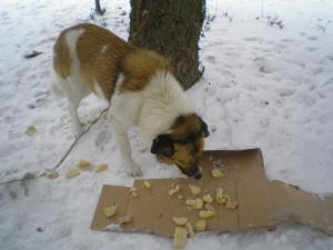 Прикачена снимка