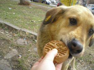 Прикачена снимка