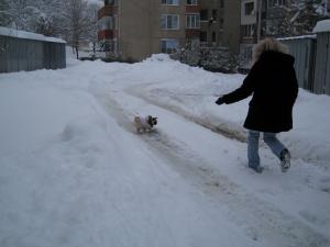 Прикачена снимка