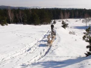 Прикачена снимка