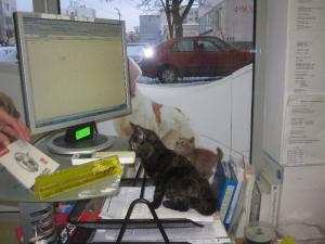 Прикачена снимка