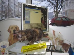 Прикачена снимка