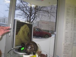 Прикачена снимка
