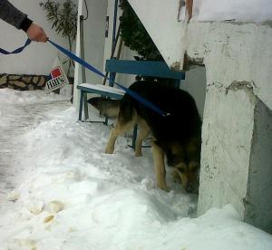 Прикачена снимка