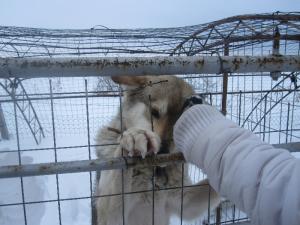 Прикачена снимка