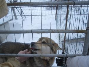 Прикачена снимка