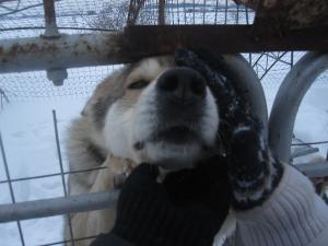 Прикачена снимка