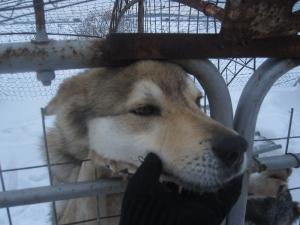 Прикачена снимка