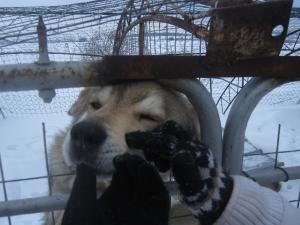 Прикачена снимка