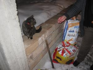 Прикачена снимка