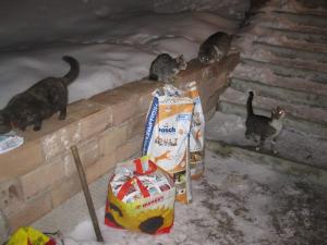 Прикачена снимка