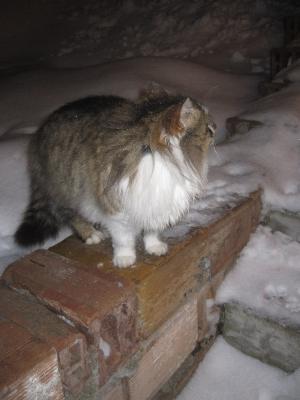 Прикачена снимка