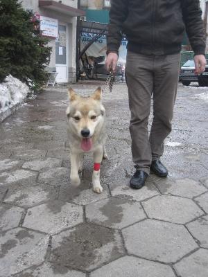 Прикачена снимка
