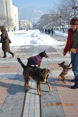 Прикачена снимка