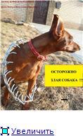 Прикачена снимка