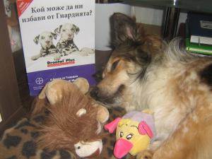 Прикачена снимка