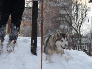 Прикачена снимка