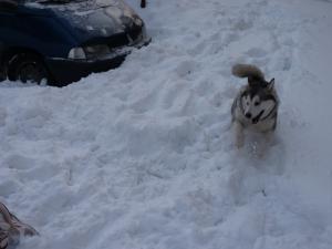 Прикачена снимка
