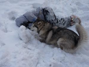 Прикачена снимка