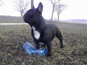 Прикачена снимка
