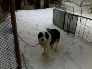 Прикачена снимка