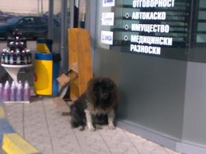Прикачена снимка