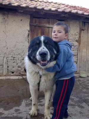 Прикачена снимка