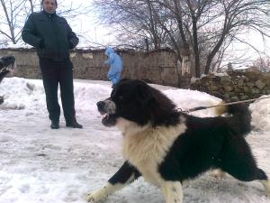 Прикачена снимка
