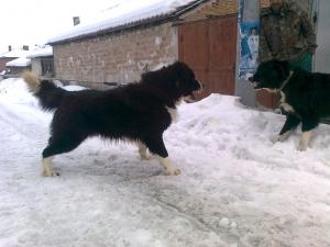 Прикачена снимка