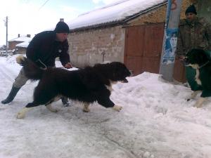 Прикачена снимка