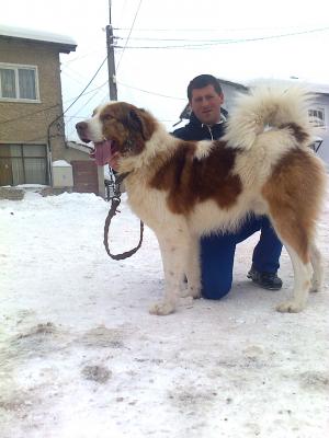 Прикачена снимка