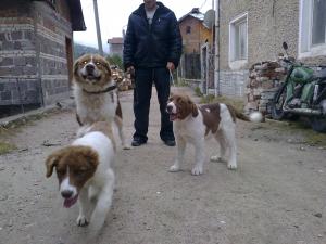 Прикачена снимка