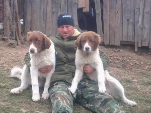 Прикачена снимка