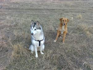 Прикачена снимка