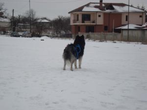 Прикачена снимка