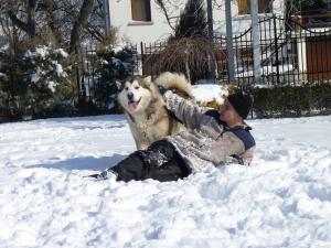Прикачена снимка